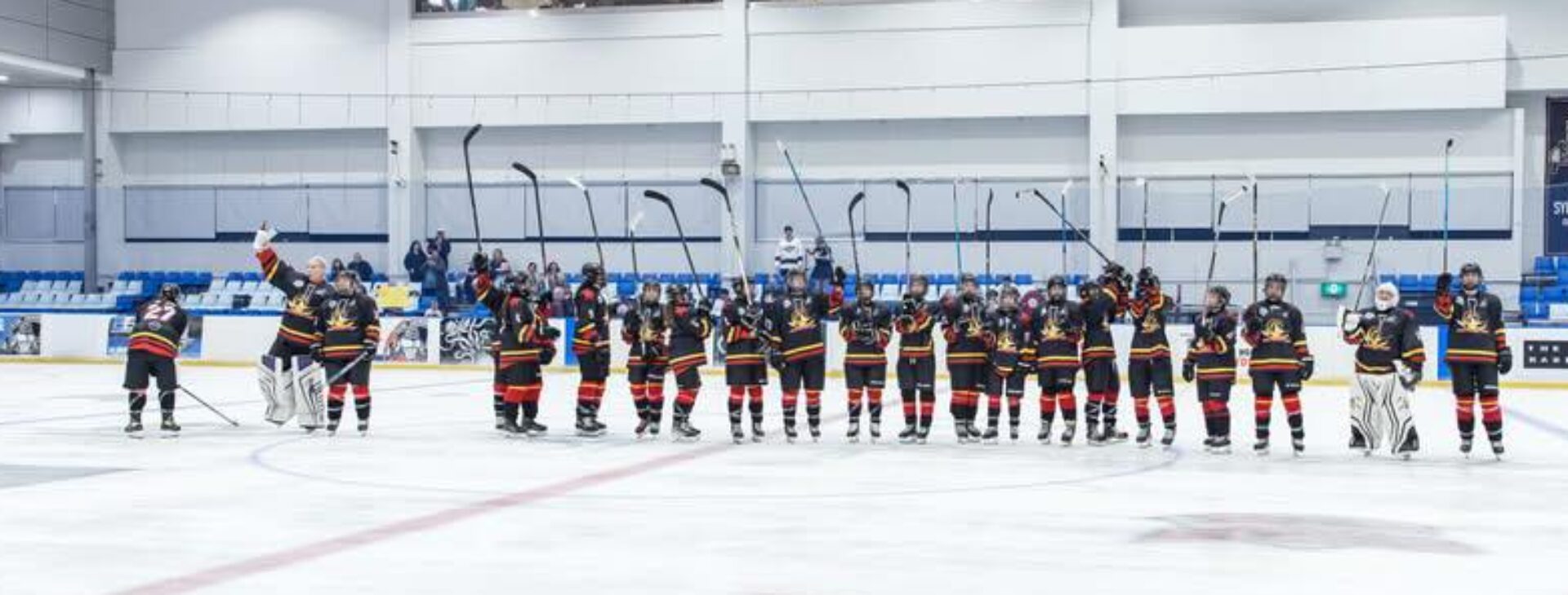 Ice Hockey NSW