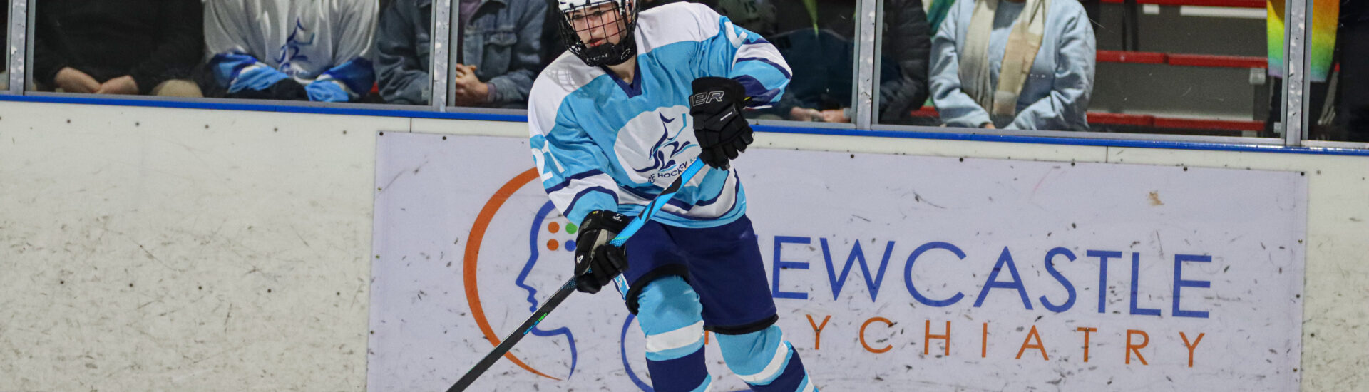 IHNSW Annual General Meeting