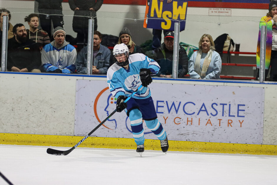 IHNSW Annual General Meeting