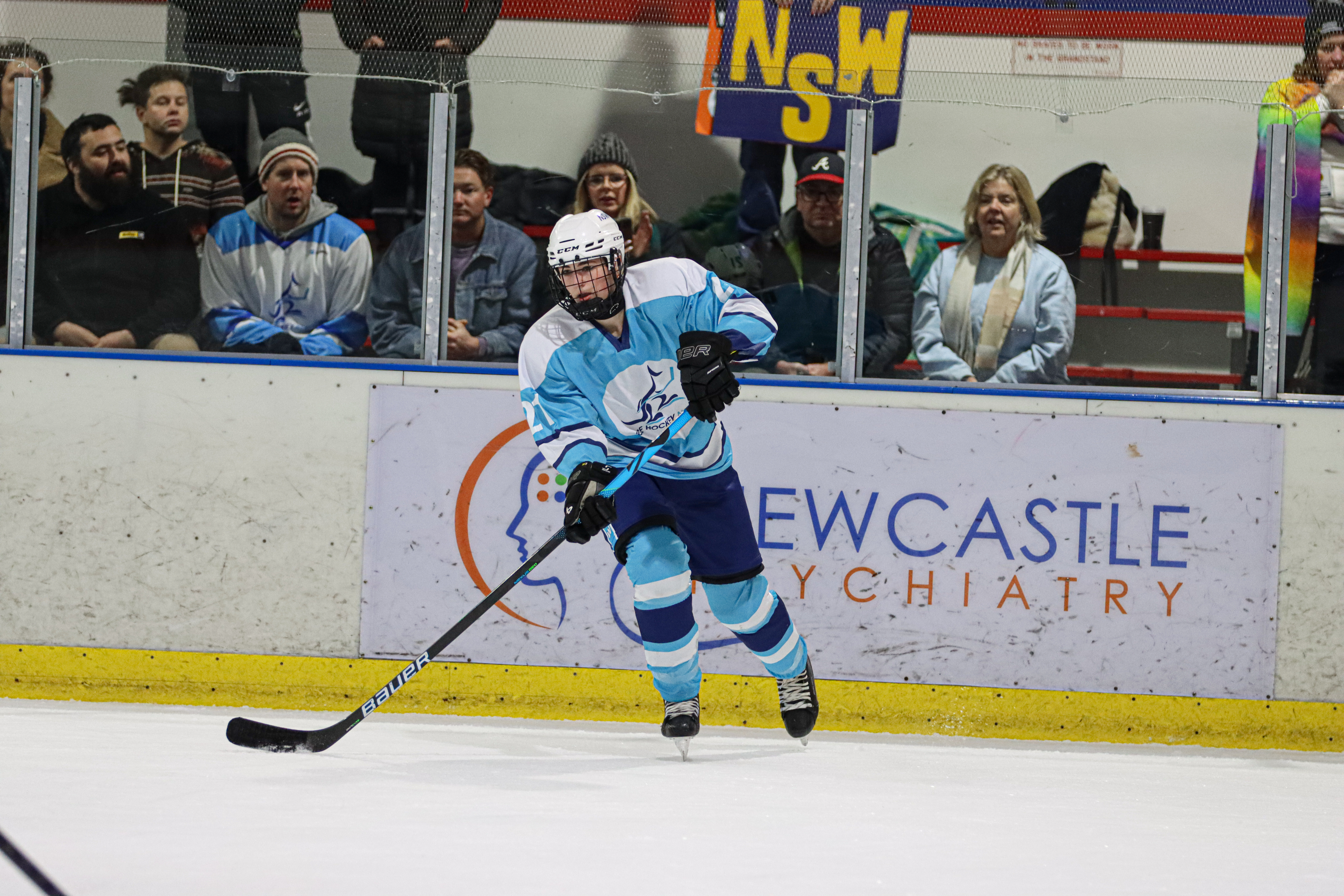 IHNSW Annual General Meeting